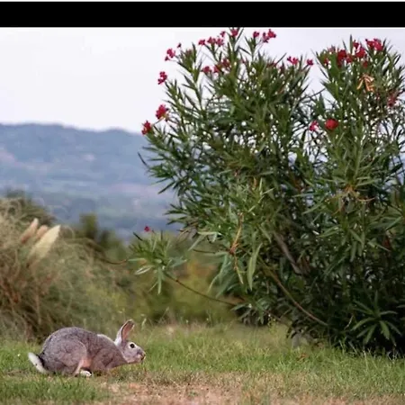 Residenza Collefiorito
