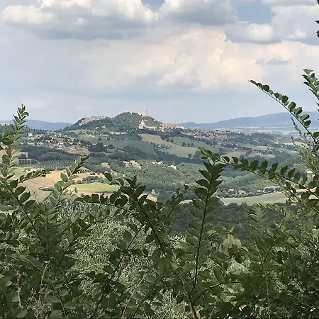 Residenza Collefiorito 3*