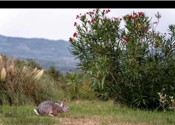 Residenza Collefiorito