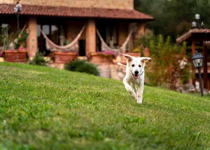 Residenza Collefiorito Corchiano