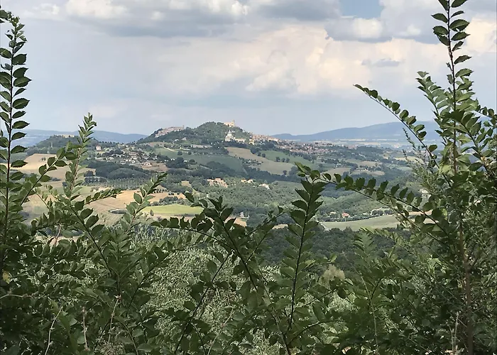 Residenza Collefiorito 3*